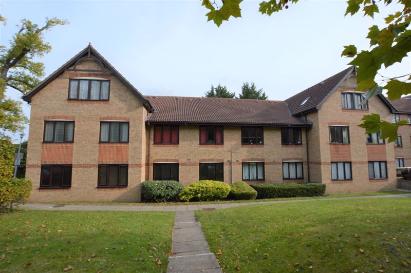 Main Image